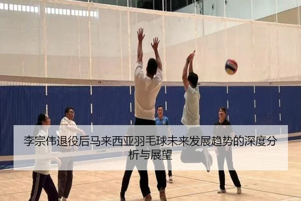 李宗伟退役后马来西亚羽毛球未来发展趋势的深度分析与展望